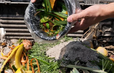Inoveco compostare deseuri biodegradabile