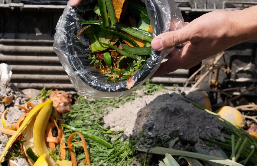 Inoveco compostare deseuri biodegradabile